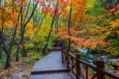 中国辽宁本溪大冰沟秋季风光