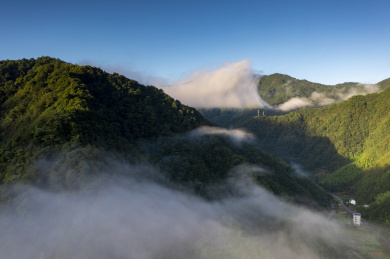 中国浙江省衢州市开化县钱江源森林公园