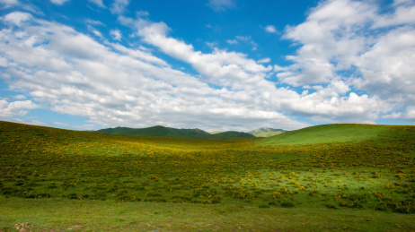 中国甘肃甘南草原风景