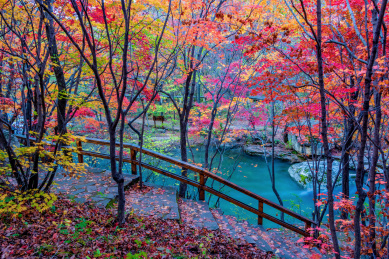 中国辽宁本溪老边沟秋季风光