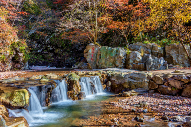 中国辽宁丹东蒲石河森林公园