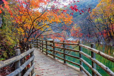 中国辽宁丹东蒲石河森林公园