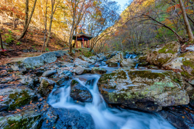 中国辽宁丹东蒲石河森林公园