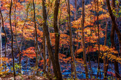中国辽宁丹东蒲石河森林公园