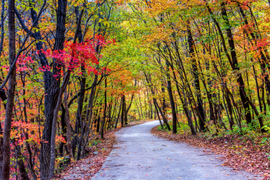 中国辽宁丹东蒲石河森林公园