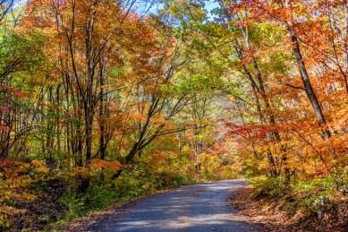 中国辽宁丹东蒲石河森林公园