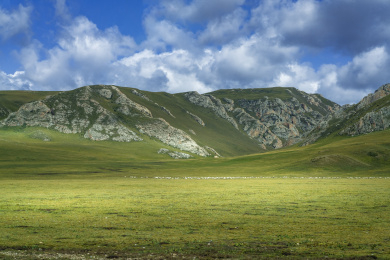 中国甘肃甘南草原风光