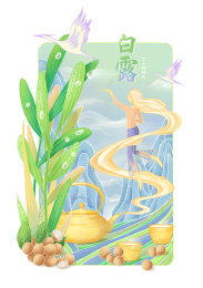 二十四节气白露收清露饮白茶