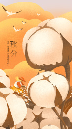 二十四节气之秋分时节秋收棉花