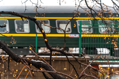 冬天武汉雪中的绿皮列车火车