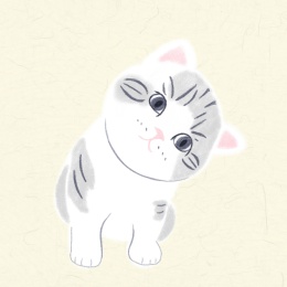 可爱毛茸茸小猫咪