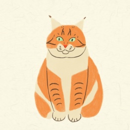 可爱毛茸茸小猫咪