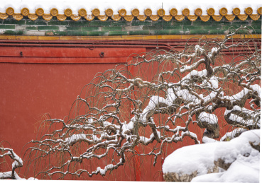 故宫的雪