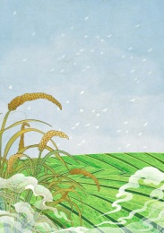 国风二十四节气插画芒种