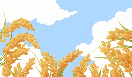 水稻稻谷插画