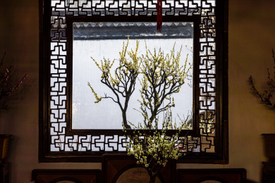 中国江苏苏州园林狮子林春天风光