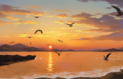 黄昏的海边海鸥在飞翔