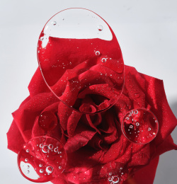 玫瑰精油质地特写