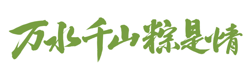 手书手写汉字书法字体万水千山粽是情