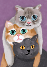 三只可爱的小猫叠高高