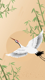 中国风竹林国家野生保护动物公园丹顶鹤仙鹤