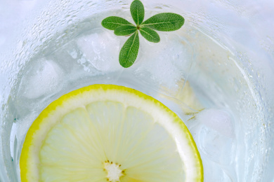 内俯视有冰块绿色叶片的水中柠檬片局部特写