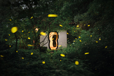 南京栖霞山夏日萤火虫之夜