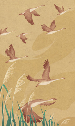 中国风白露鸿雁节气插画