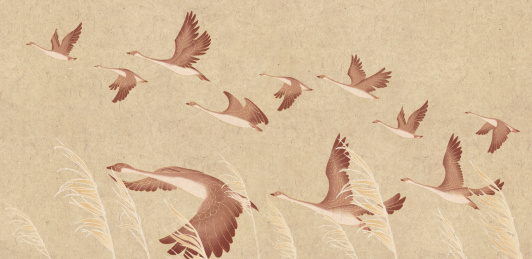 中国风白露鸿雁节气插画