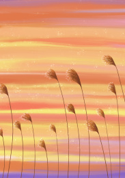夕阳西下的芦苇风景插画