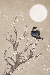 冬至立冬小雪节气梅花喜鹊花鸟插画
