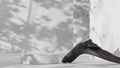 3D渲染背景静物场景