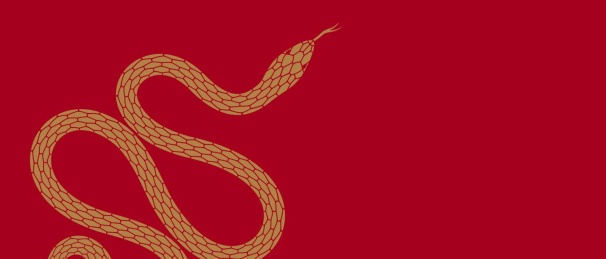 蛇矢量抽象艺术绘画插画背景封面