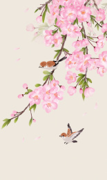 水墨水彩樱花中国风樱花桃花插画装饰画