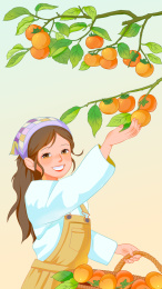摘柿子的农家女孩