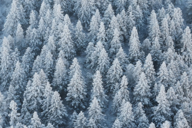杭州临安太子尖华浪线森林雪景航拍