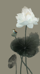 荷花翠鸟国画风装饰画海报