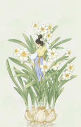 中国风十二花令-水仙花
