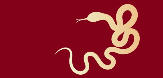 蛇抽象艺术设计