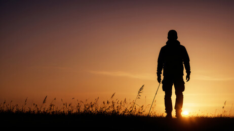户外草地人物剪影