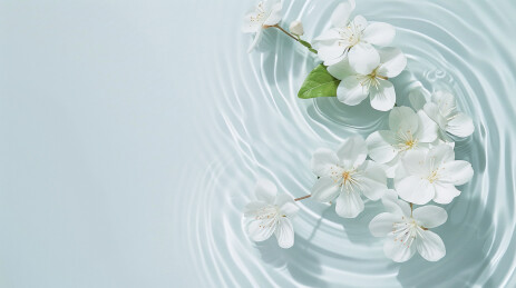 水中的白色茉莉花