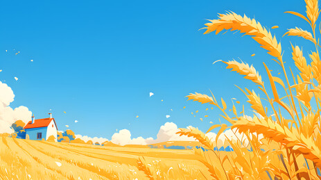 秋天节气麦子插画