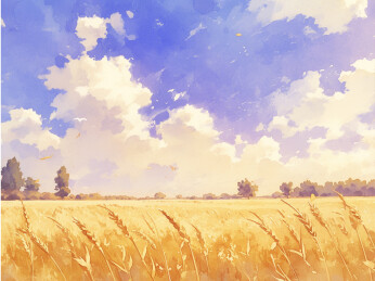 秋天的金色麦田 田园风景 田园风光