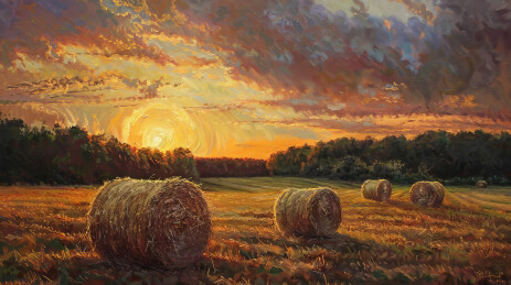 秋季田野秋收插画场景