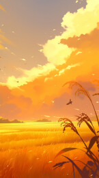 秋季节气主题壁纸