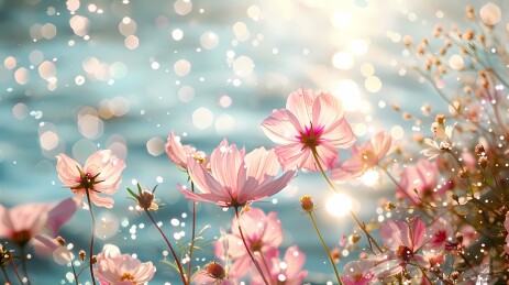 海边阳光粉色花朵插画海报背景