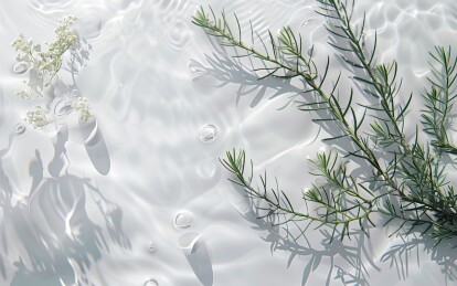 纯净的水和艾草