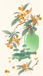 中国传统节气秋天节日枇杷插画