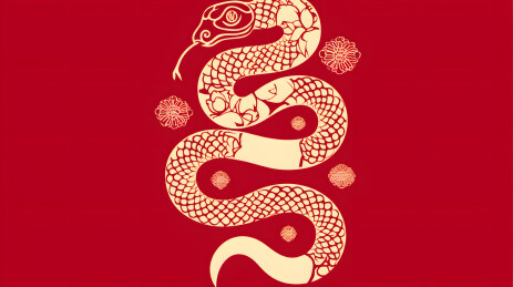 中国风国潮风蛇年生肖蛇插画