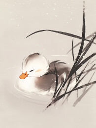 水中鸭子户外自然简约国画工笔画